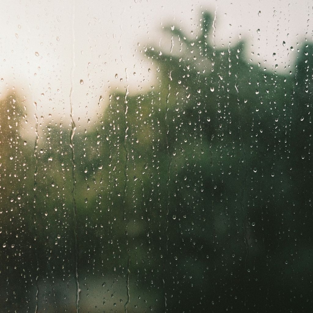 Rain-streaked window with blurred greenery outside